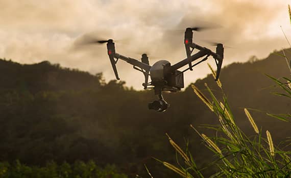 Un drone survolant un champ d’herbes hautes.