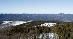 Une vue prise par drone sur les montagnes et les arbres enneigés.